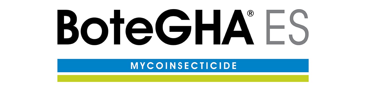 BoteGHA_ES_Logo_1200x300