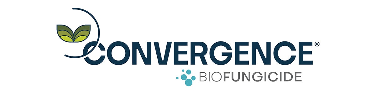 Convergence_Logo_1200x300