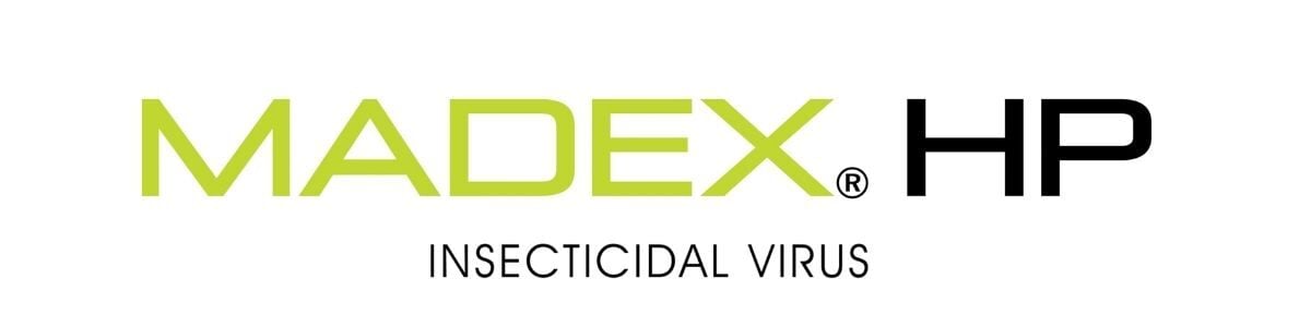 Madex-HP_Logo_1200x300