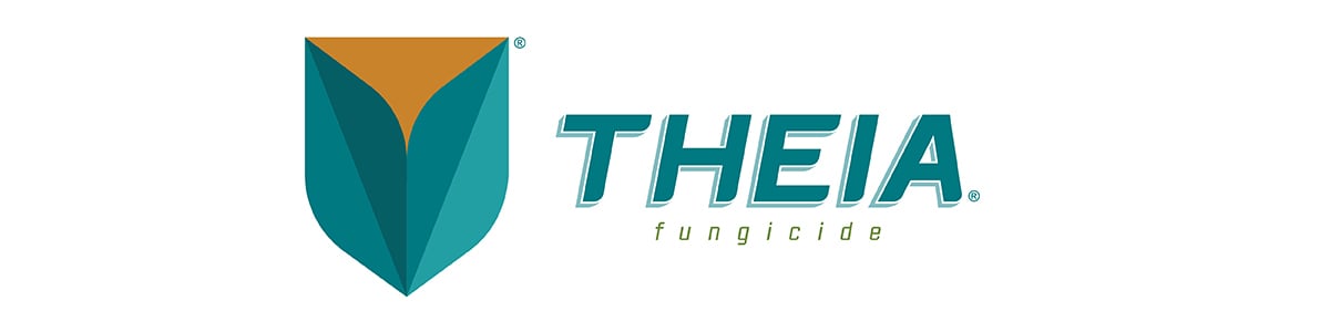 Theia_Logo_1200x300