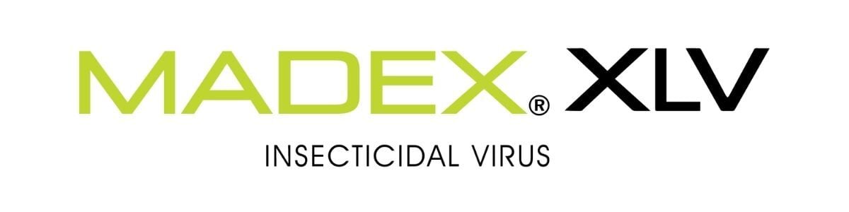 Madex-XLV_Logo_1200x300-1